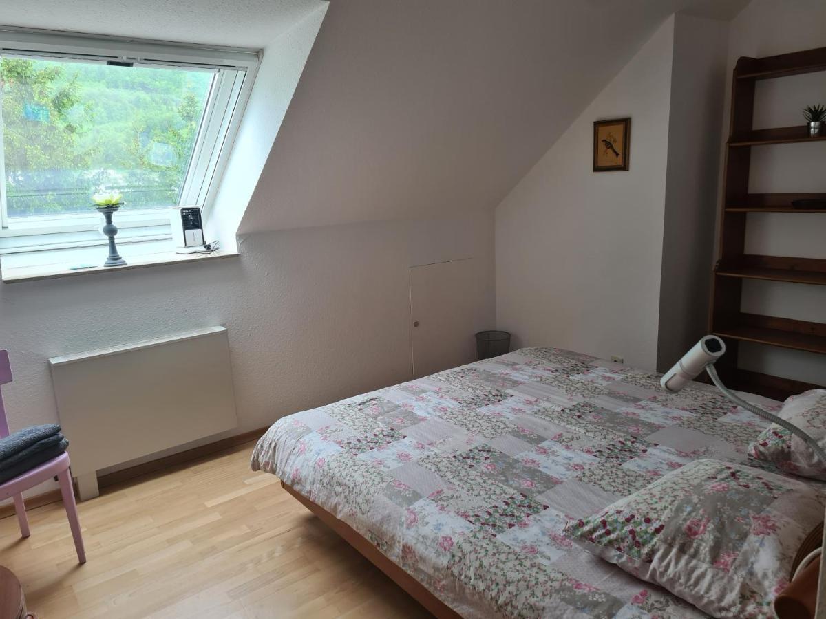 Appartement Paradiso Busingen am Hochrhein Exterior foto